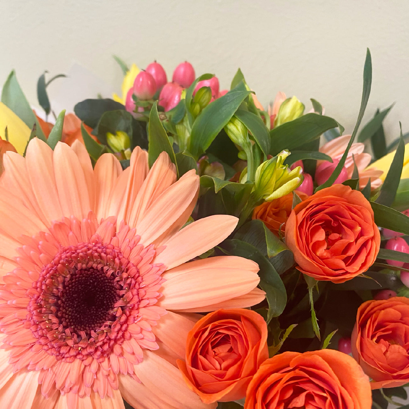 Tulipan & Gerberas