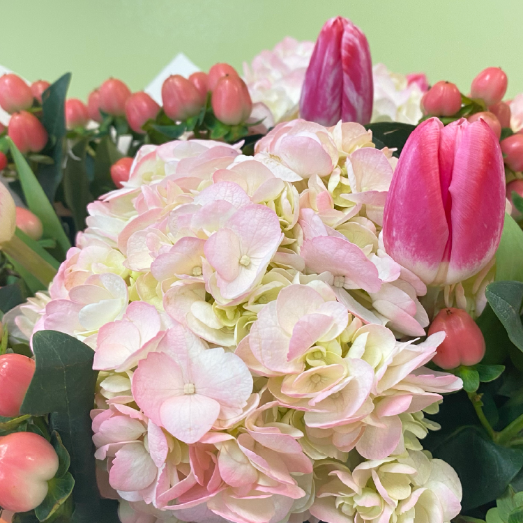 Ramo Hortensias Rosadas & Tulipán