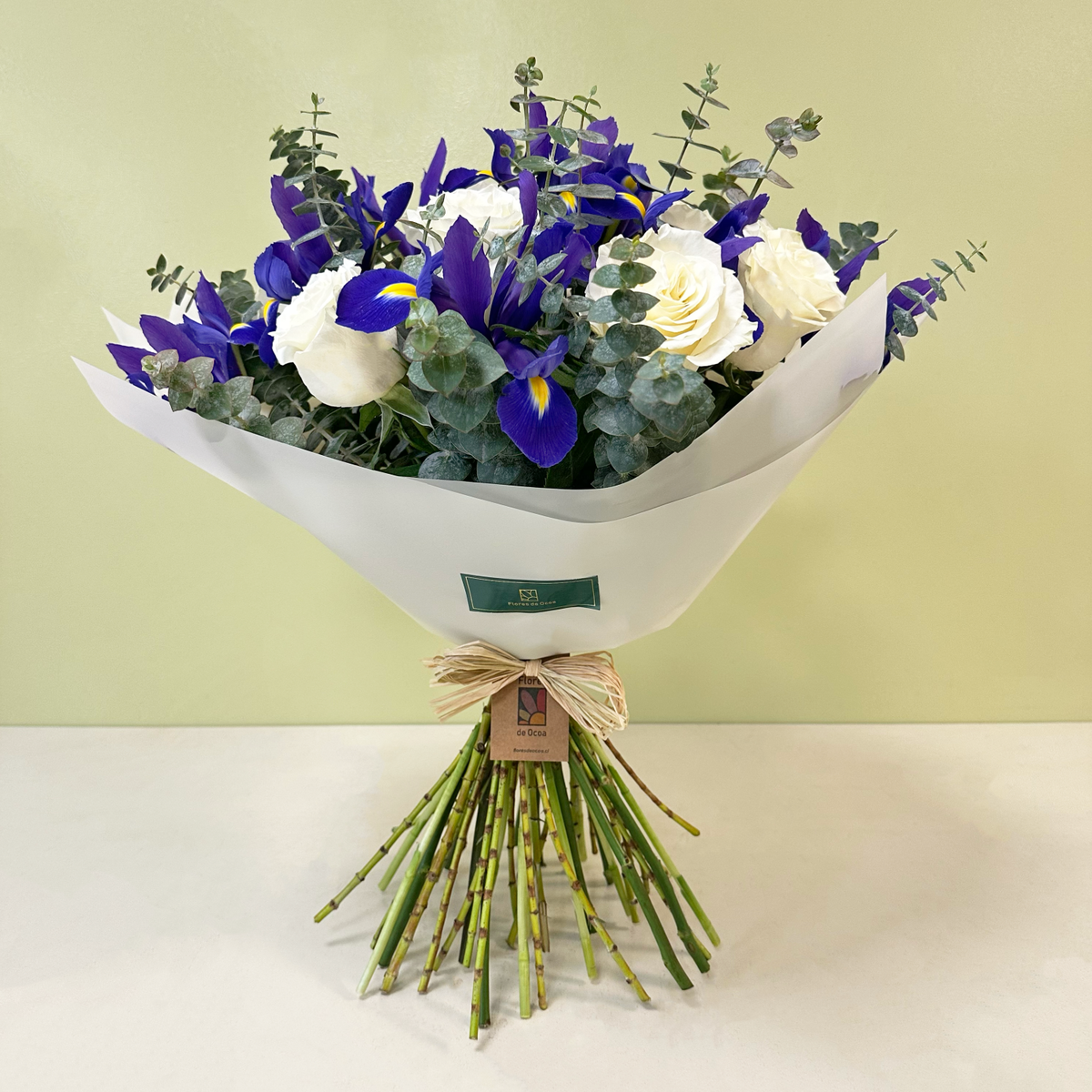 Ramo de Iris  & Rosas