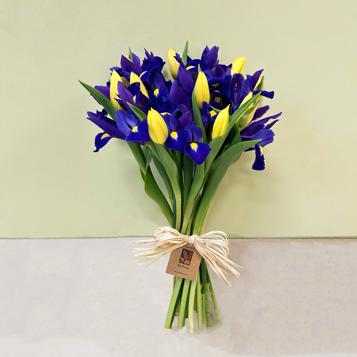 Ramo Iris & Tulipán | Invierno