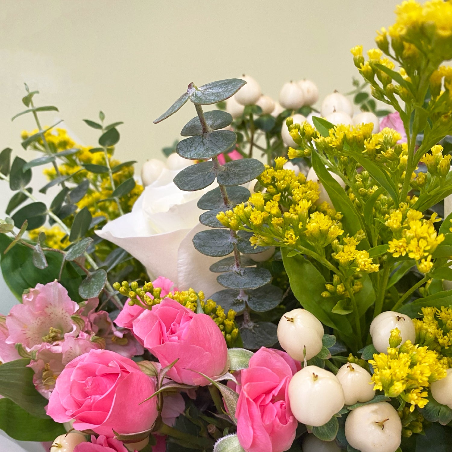 Rosas & Mini Rosas | M12