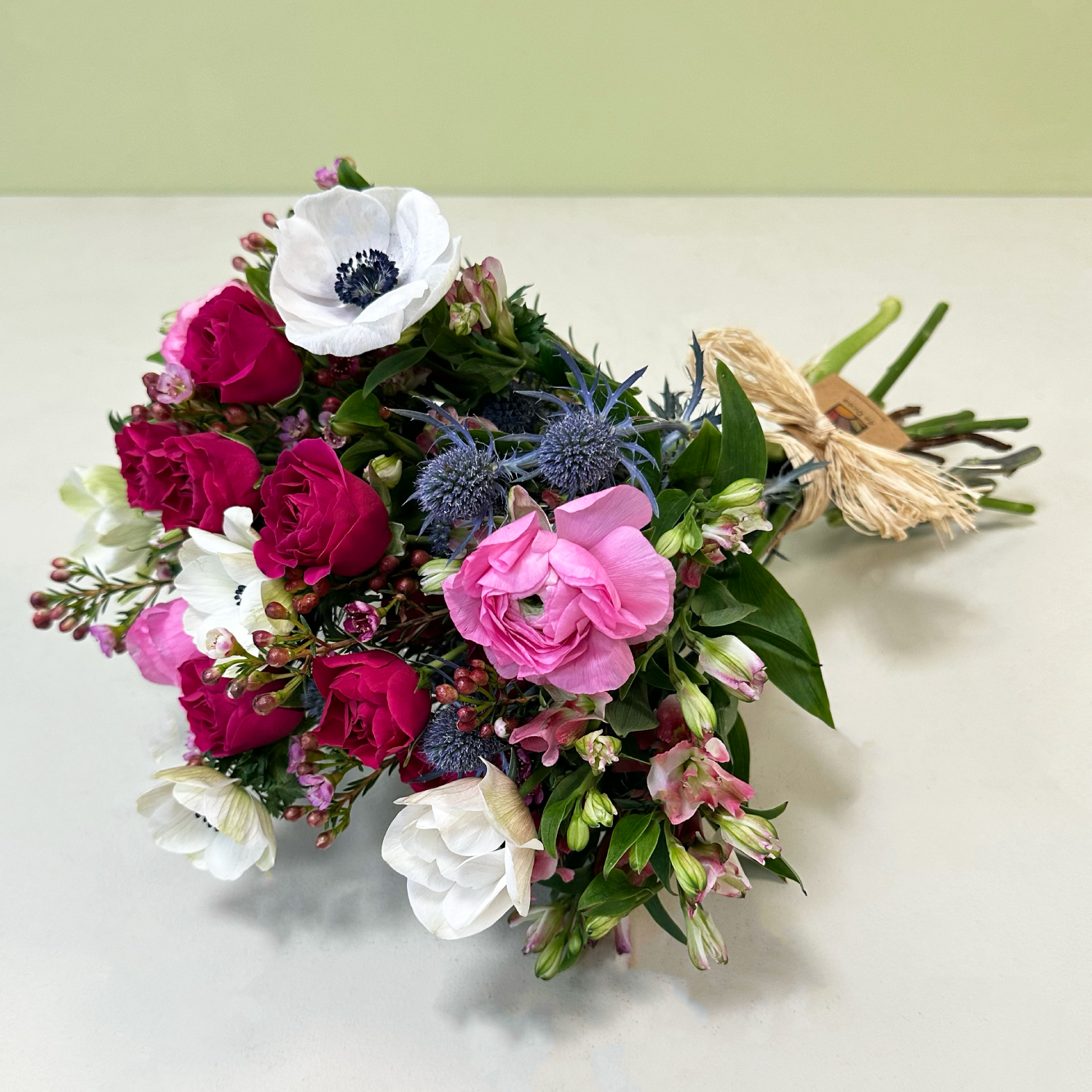 Anémonas Blancas & Pink