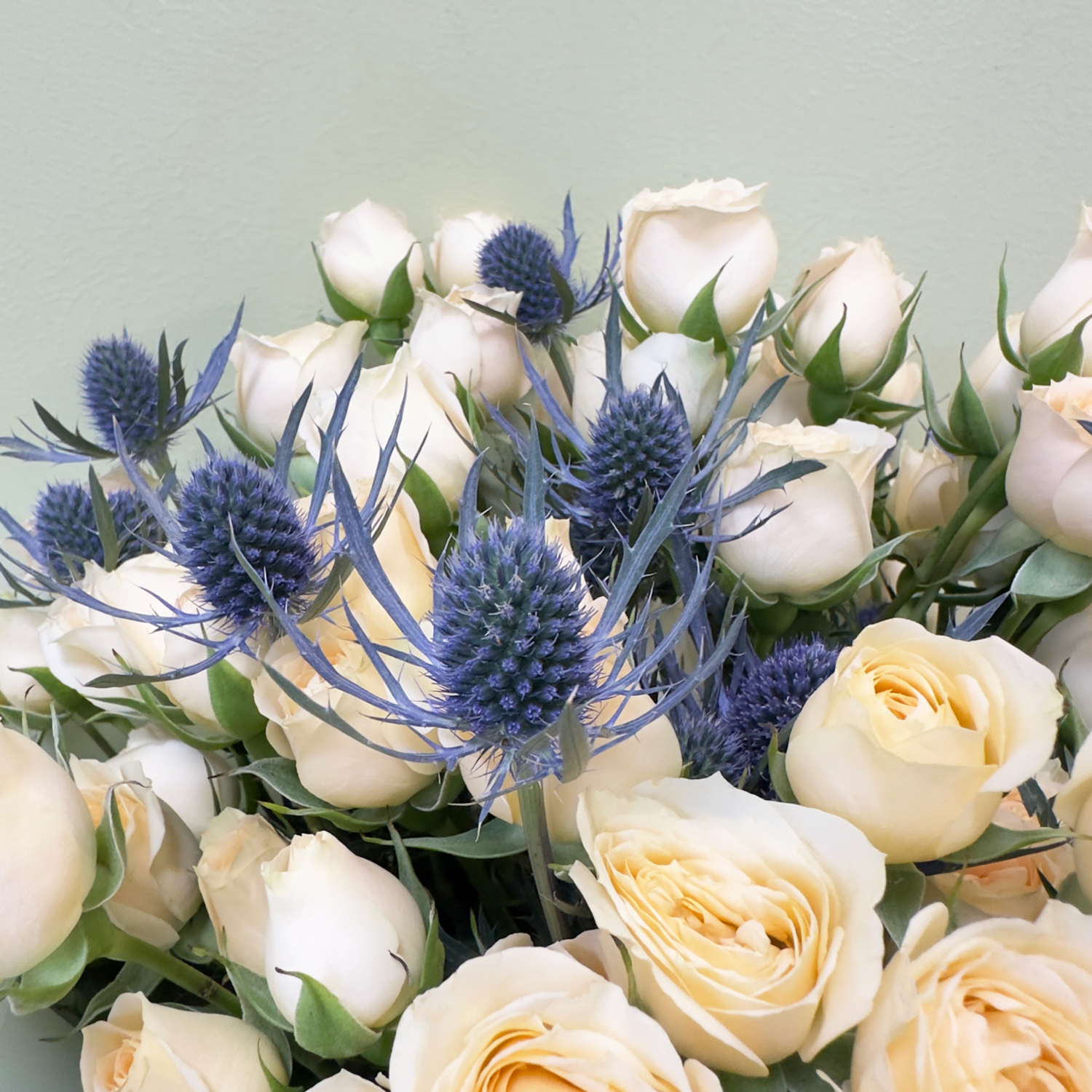 Ramo Mini Rosas & Eryngium