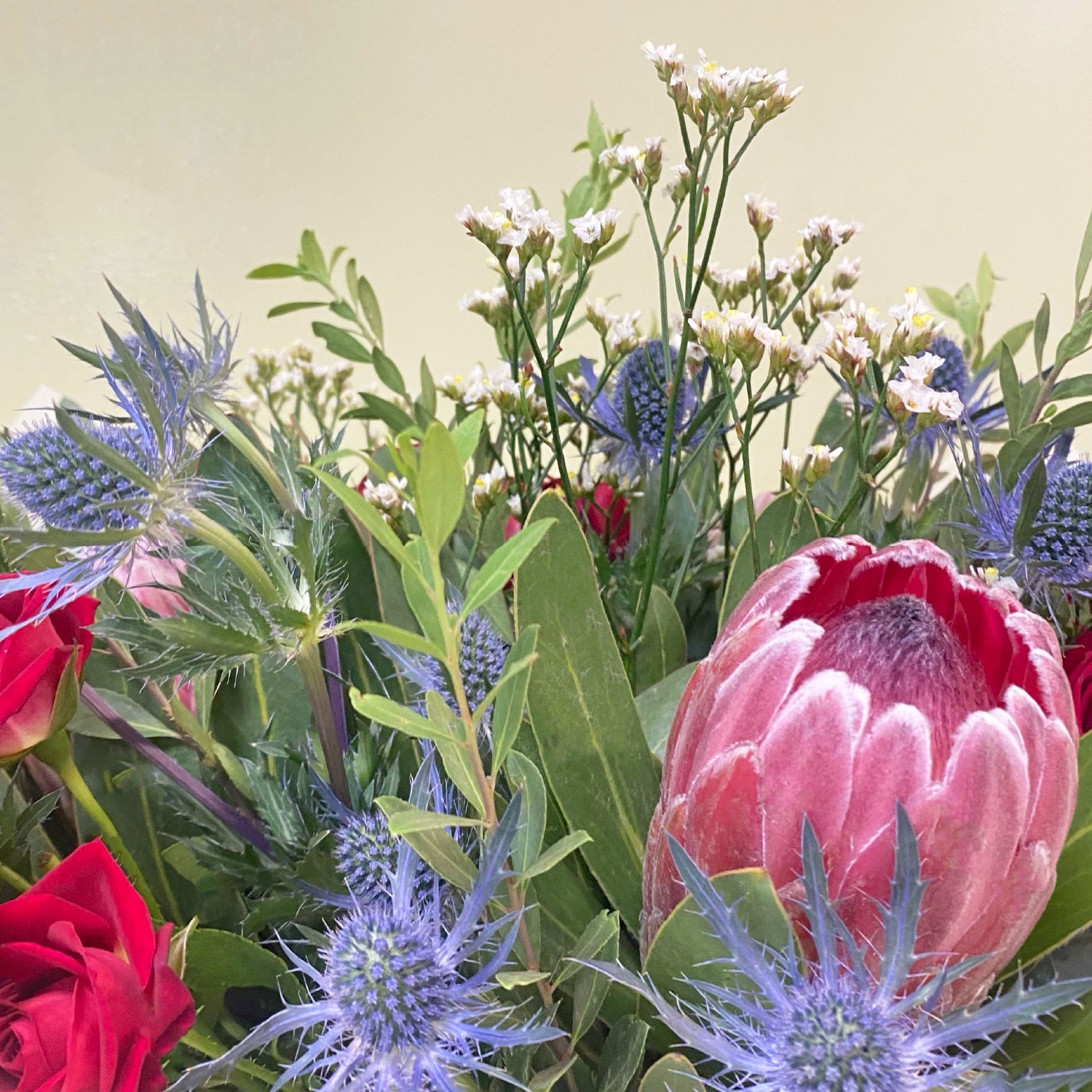 Proteas & Eryngium | M13