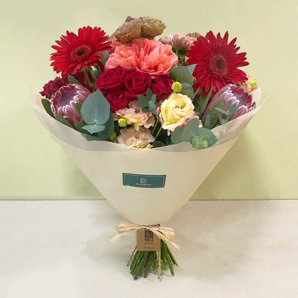 Proteas & Gerberas | Otoño