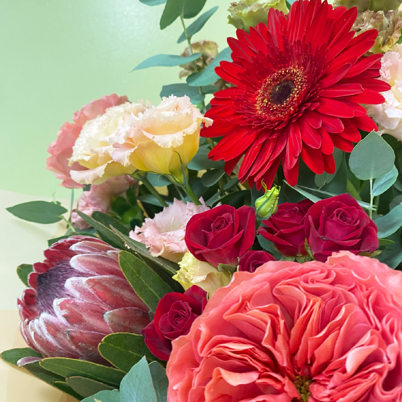 Proteas & Gerberas | Otoño