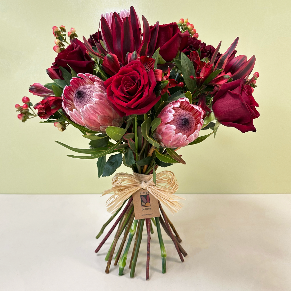 Proteas & Jester | Invierno