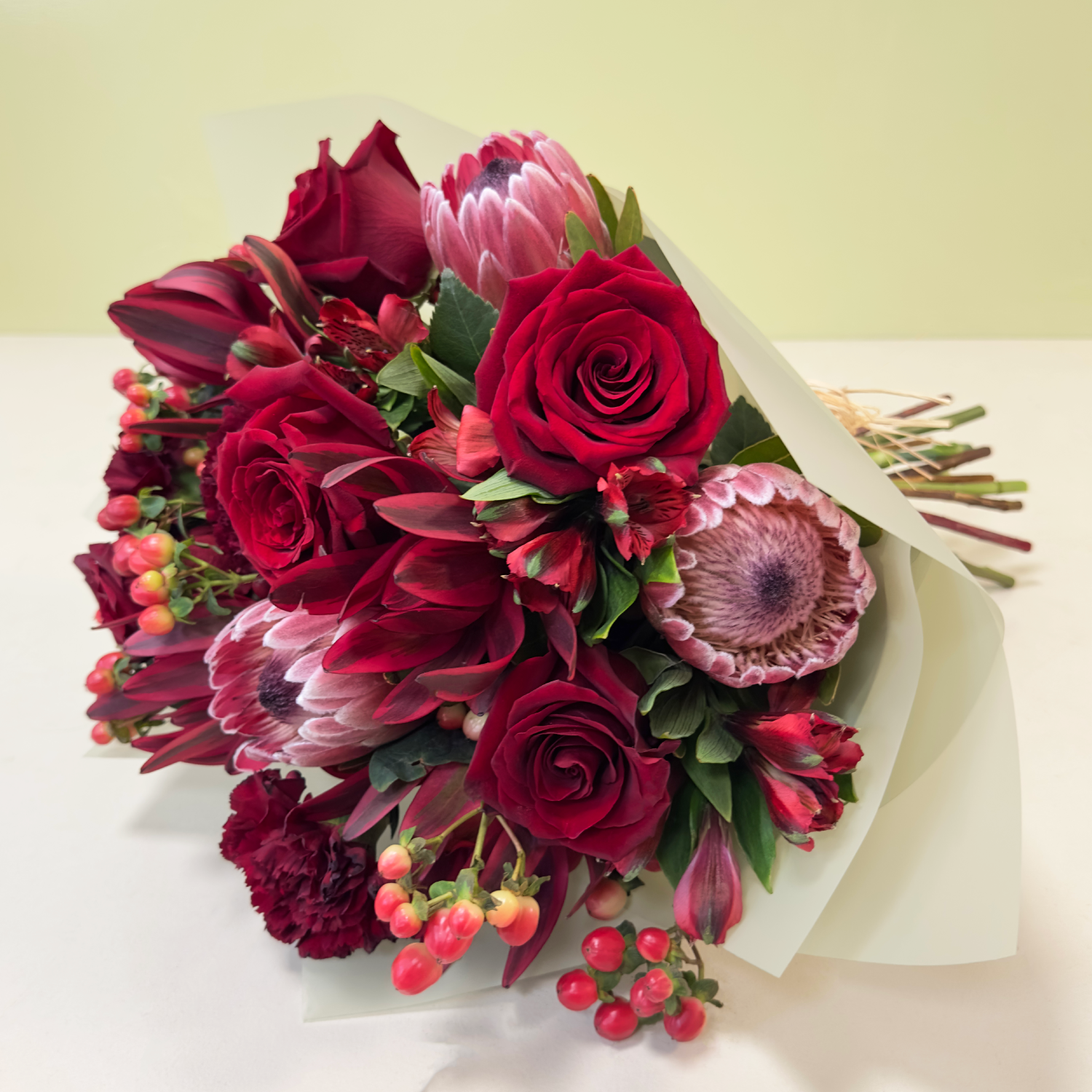 Proteas & Jester