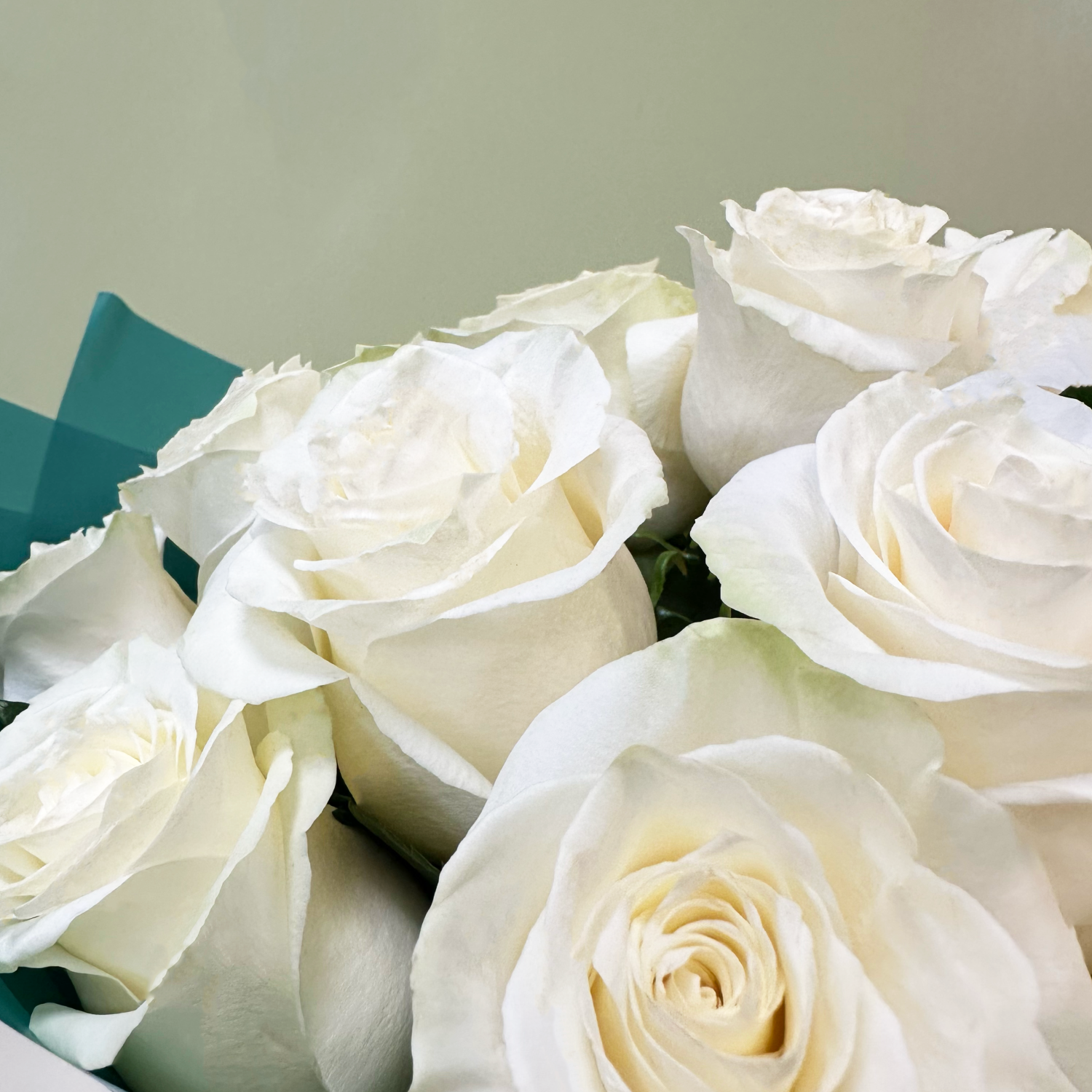 Bouquete 25 Rosas Blancas