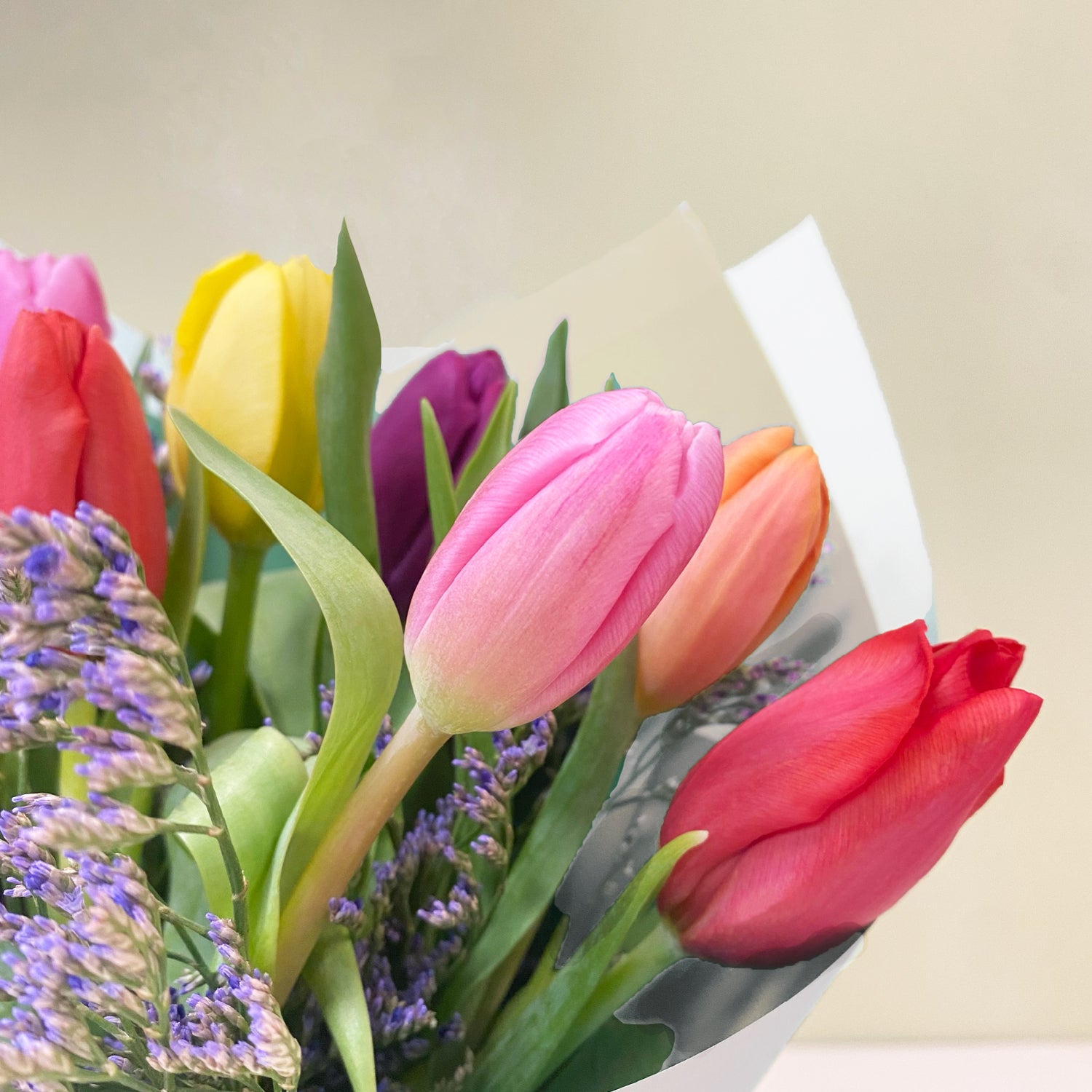 Ramo de 10 Tulipanes & Limonium | M1