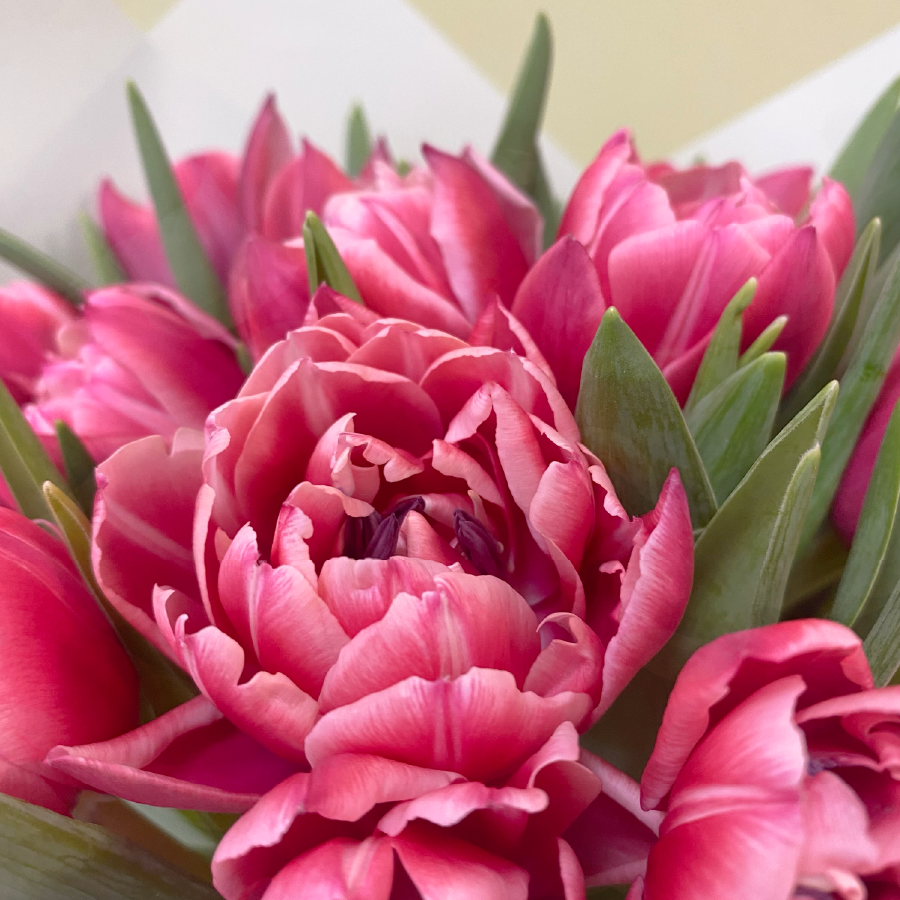 Ramo de 20 Tulipanes Dobles