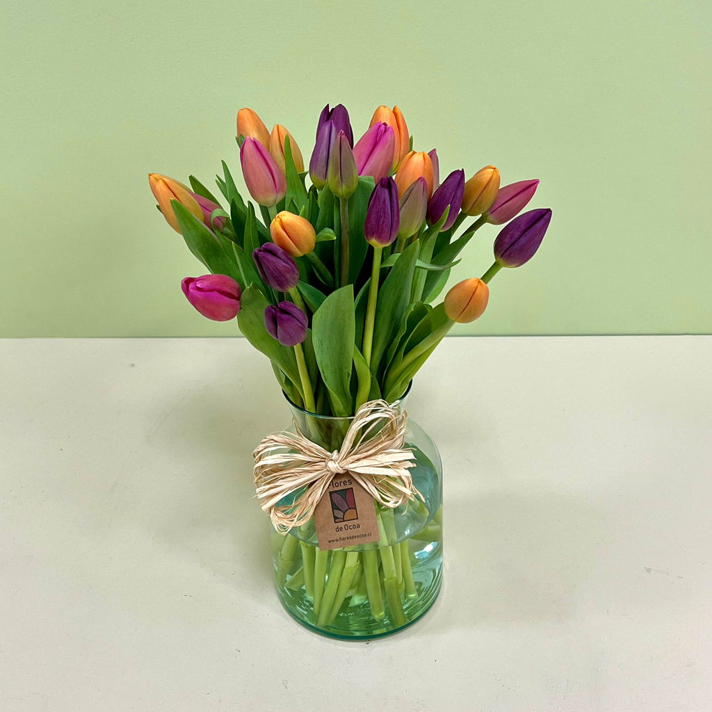 30 Tulipanes en Lechero.