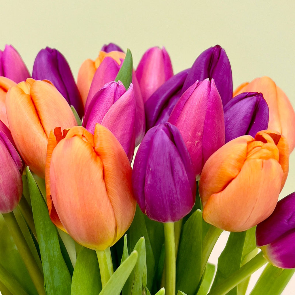 Ramo 30 Tulipanes