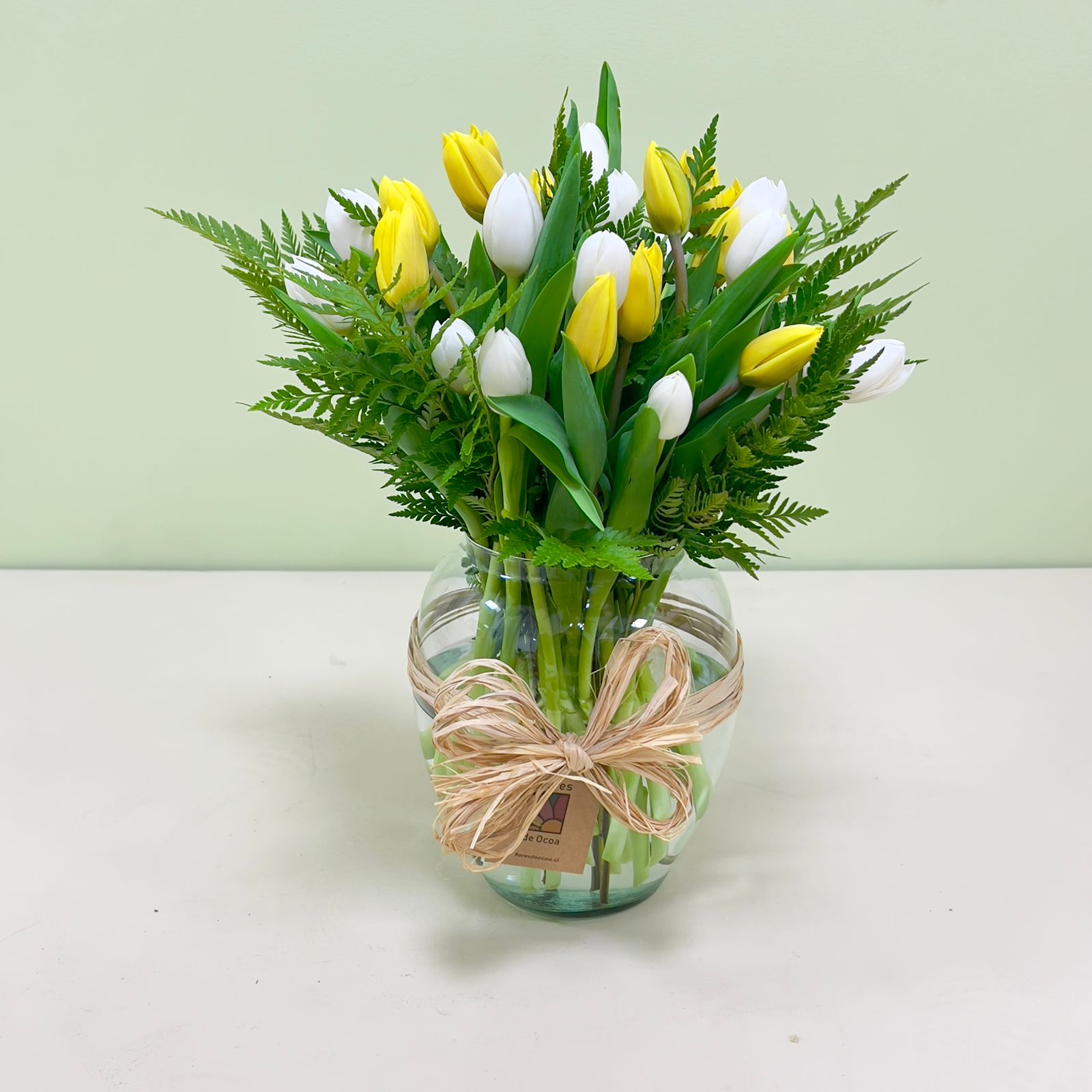 30 Tulipanes Blancos y Amarillos en Florero