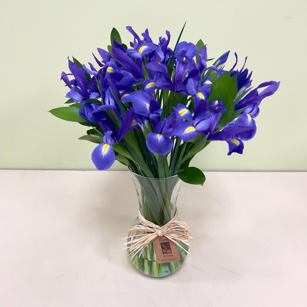 Arreglo de Iris en Florero