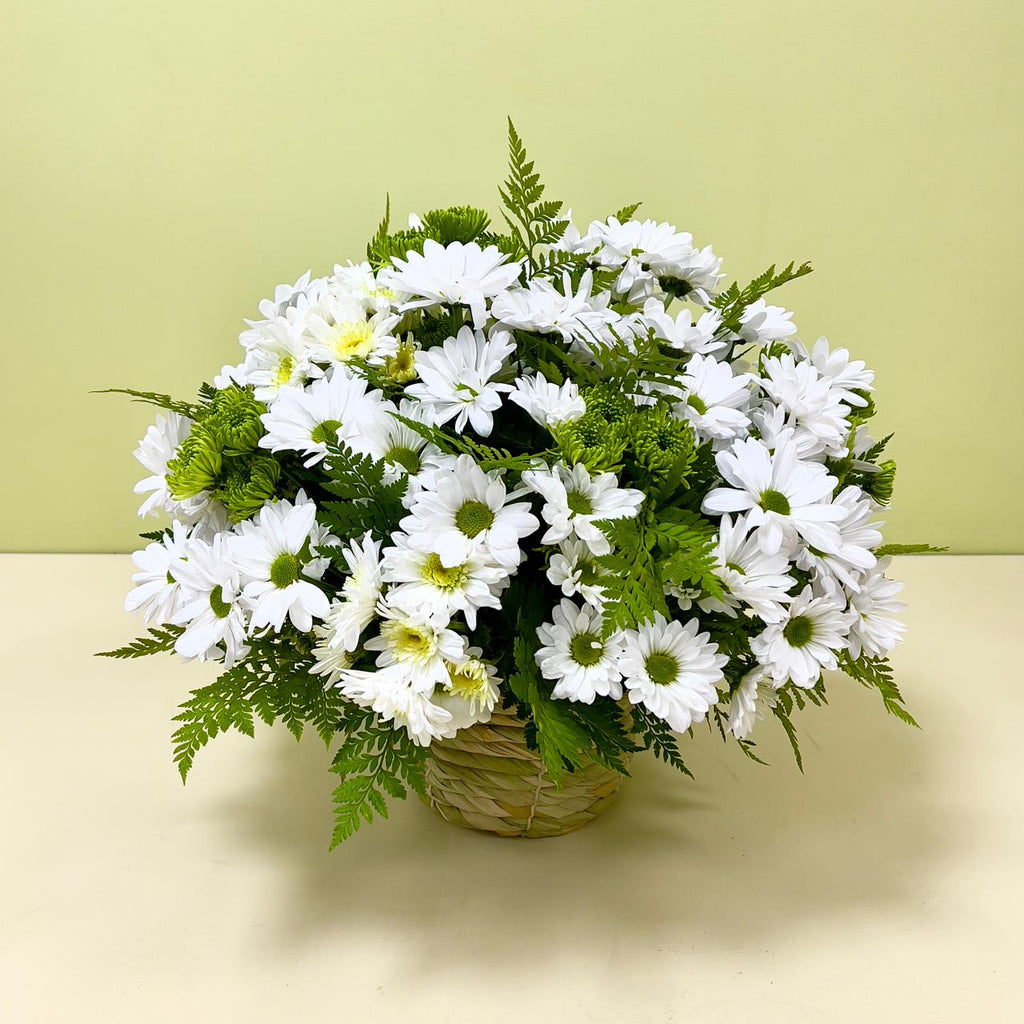 Canasto Pompón blanco y verde