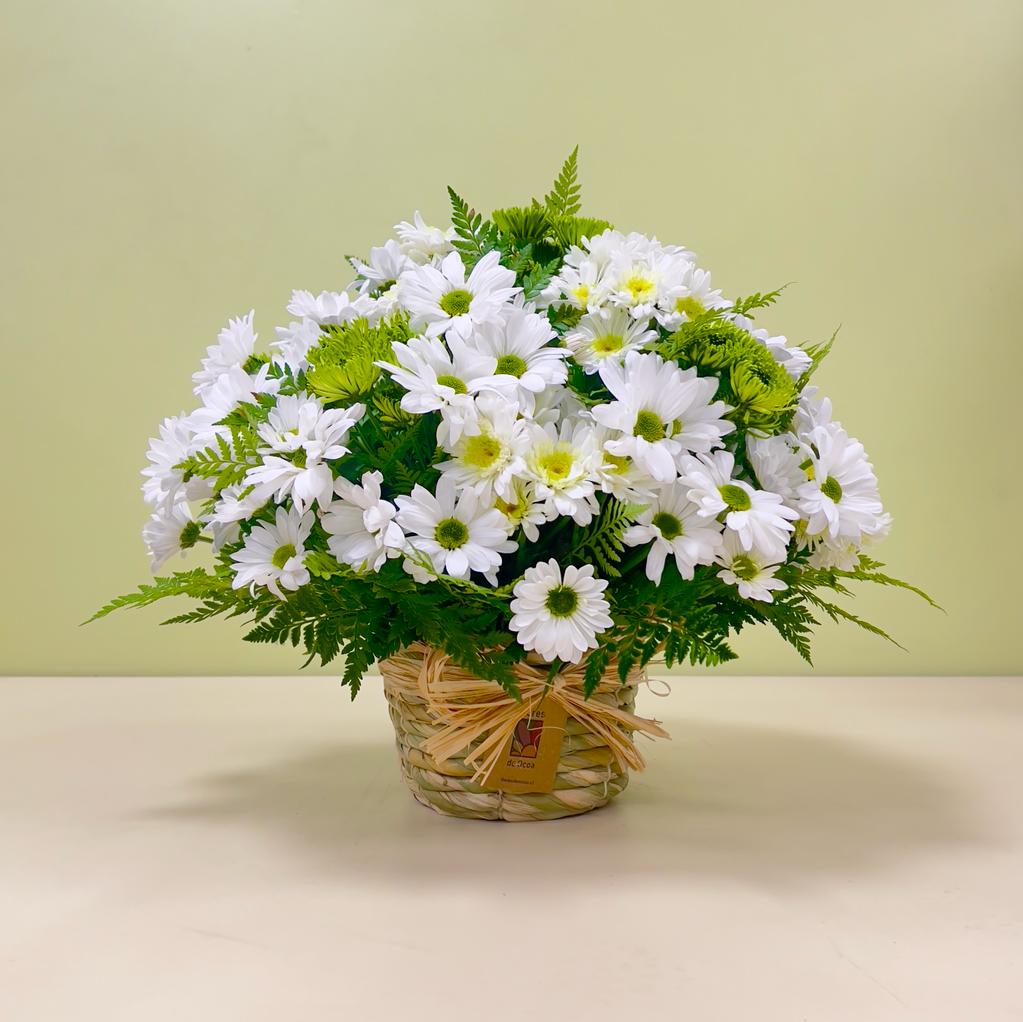 Canasto Pompón blanco y verde