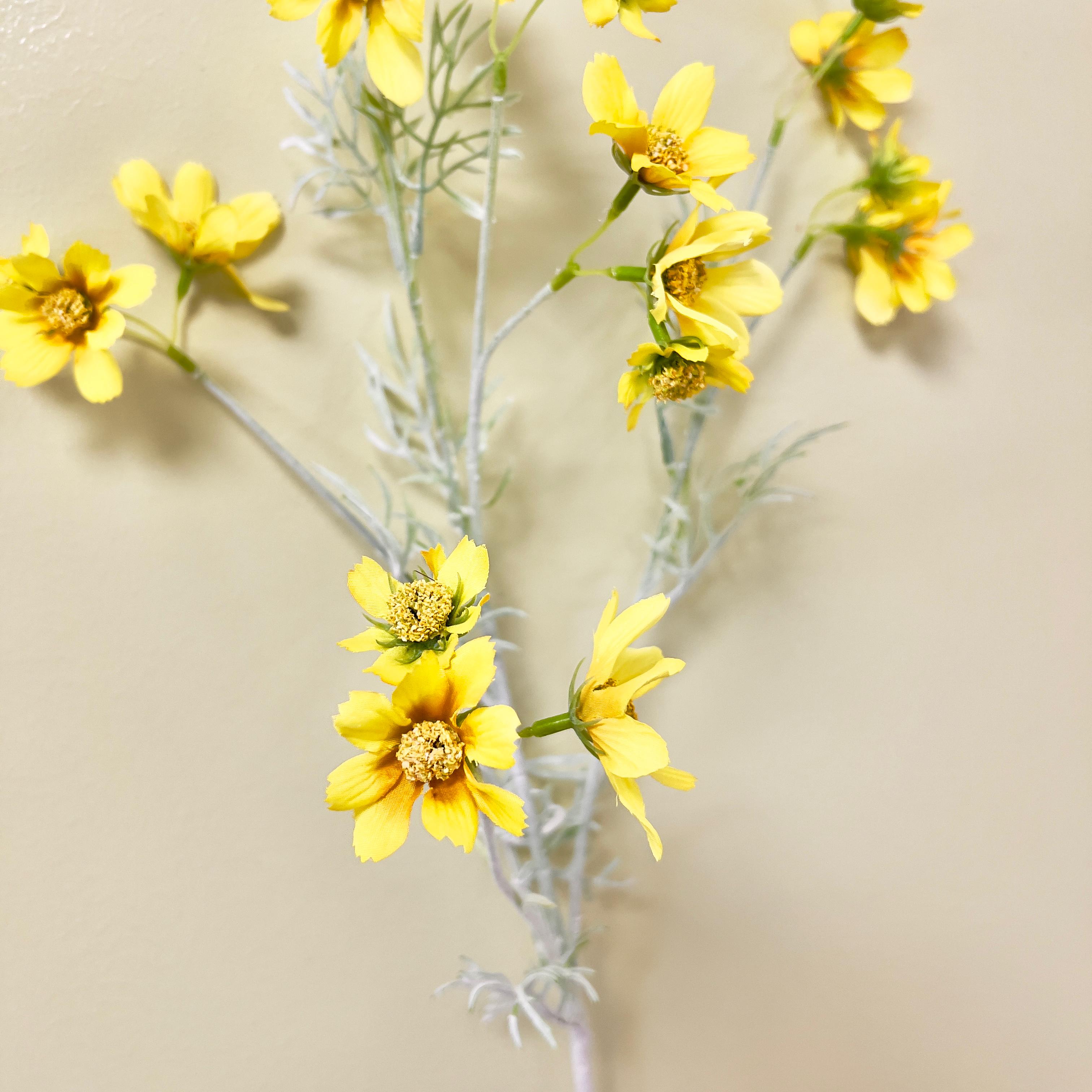 Cosmos Artificial 1 Vara