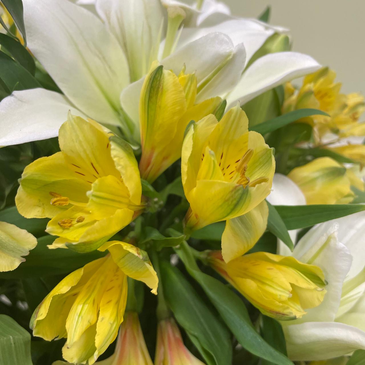 Alstroemerias amarilla & Lilium en Canasto
