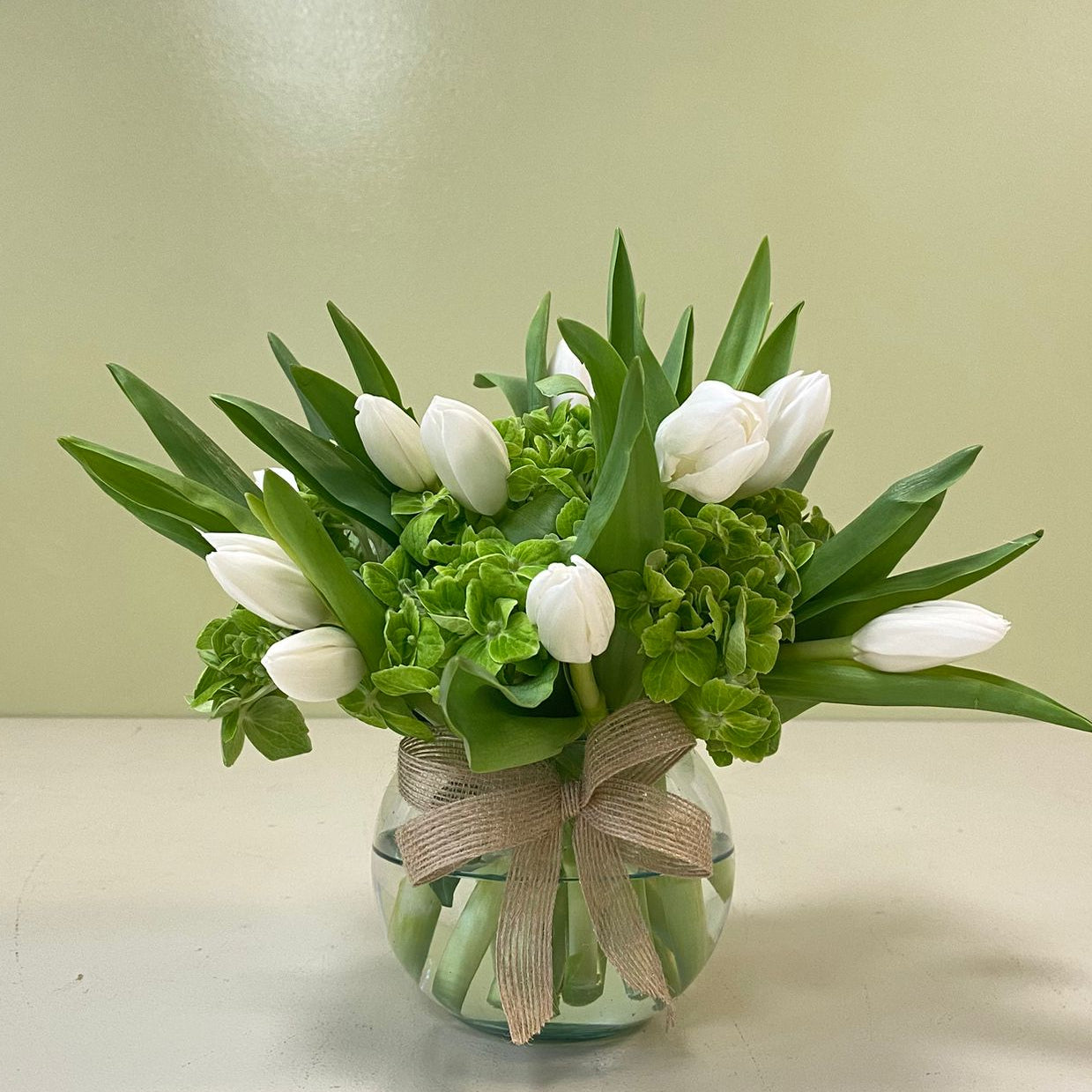 Pecera Tulipanes blancos