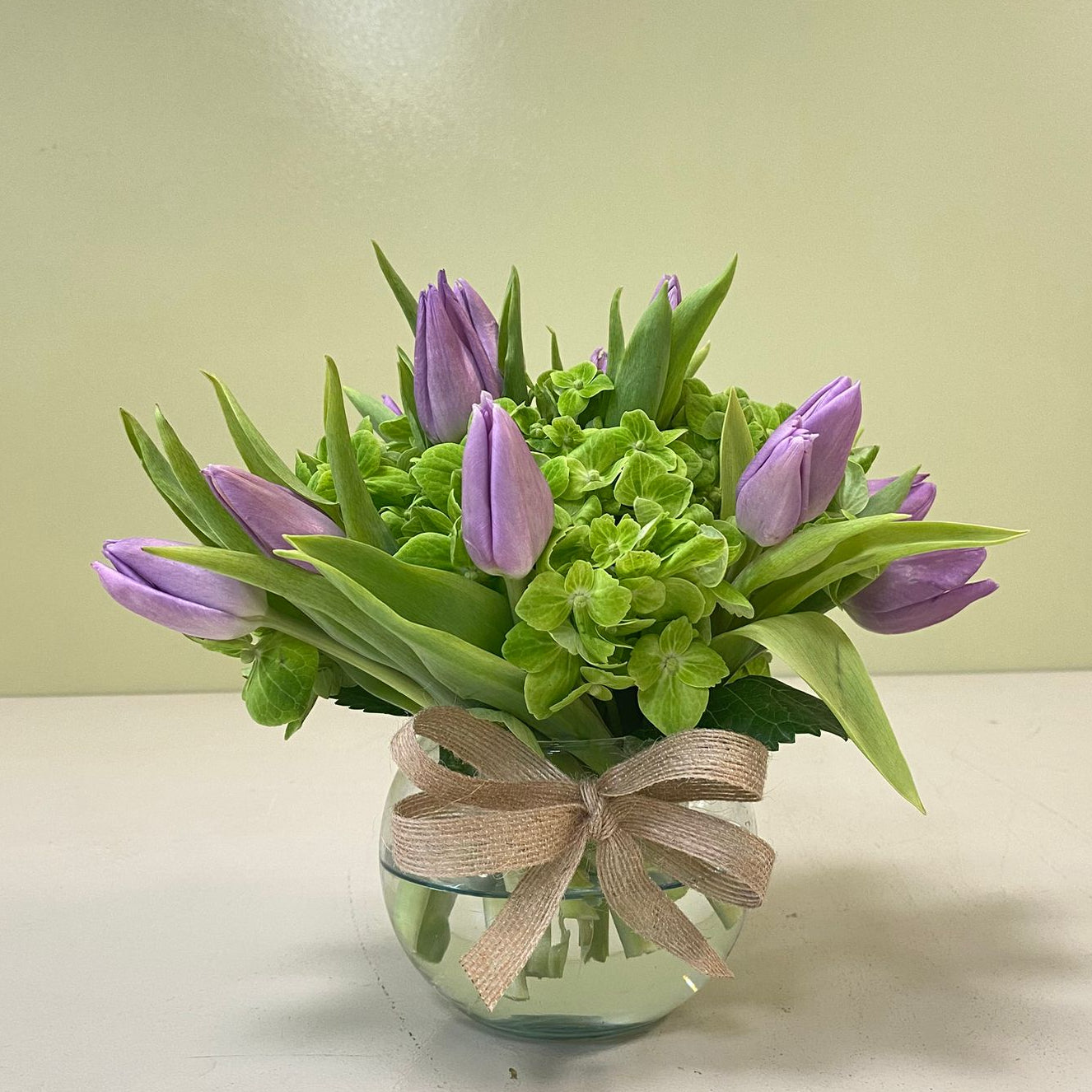 Pecera Tulipanes Lila