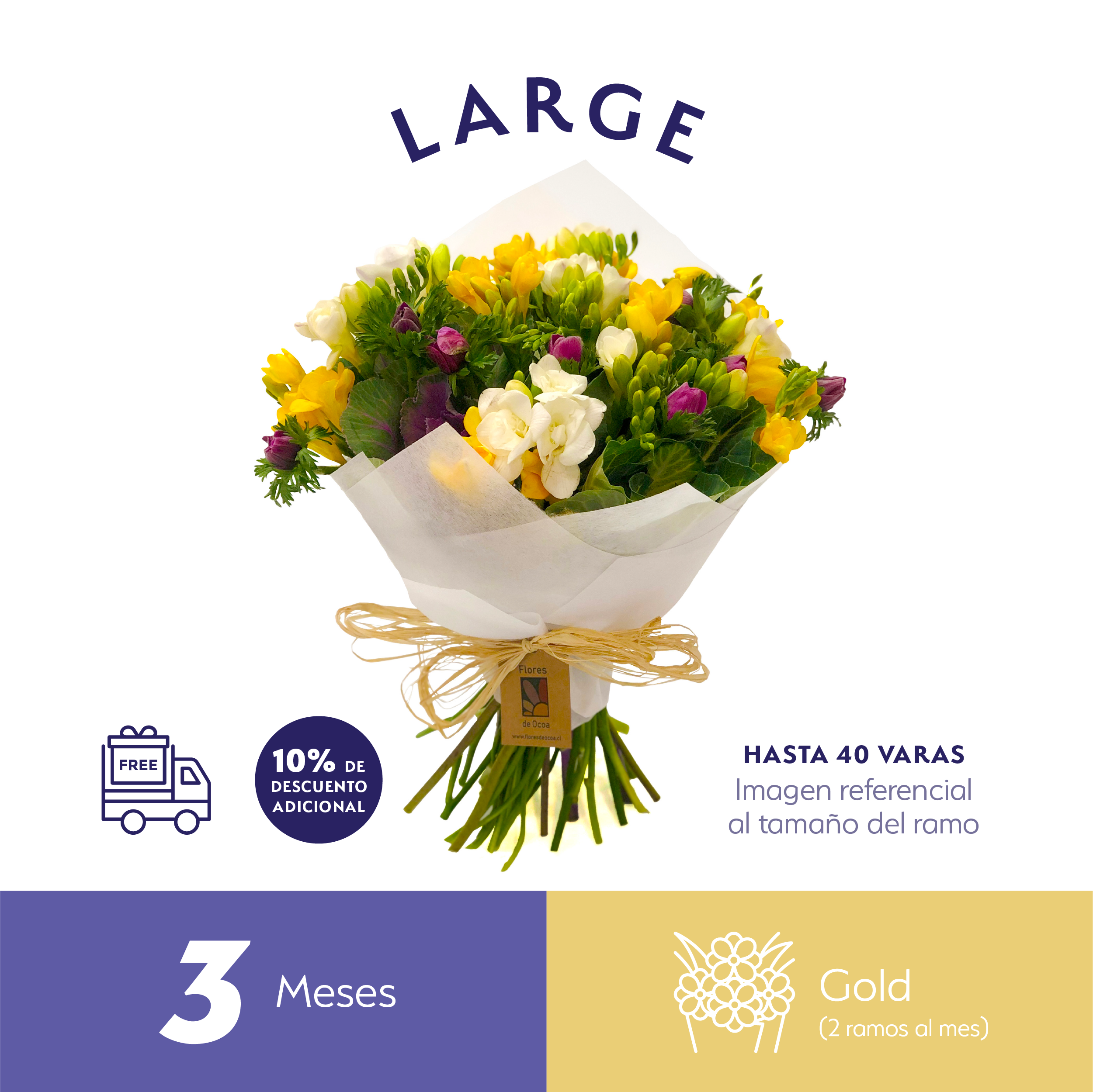 Plan Trimestral Gold Large.