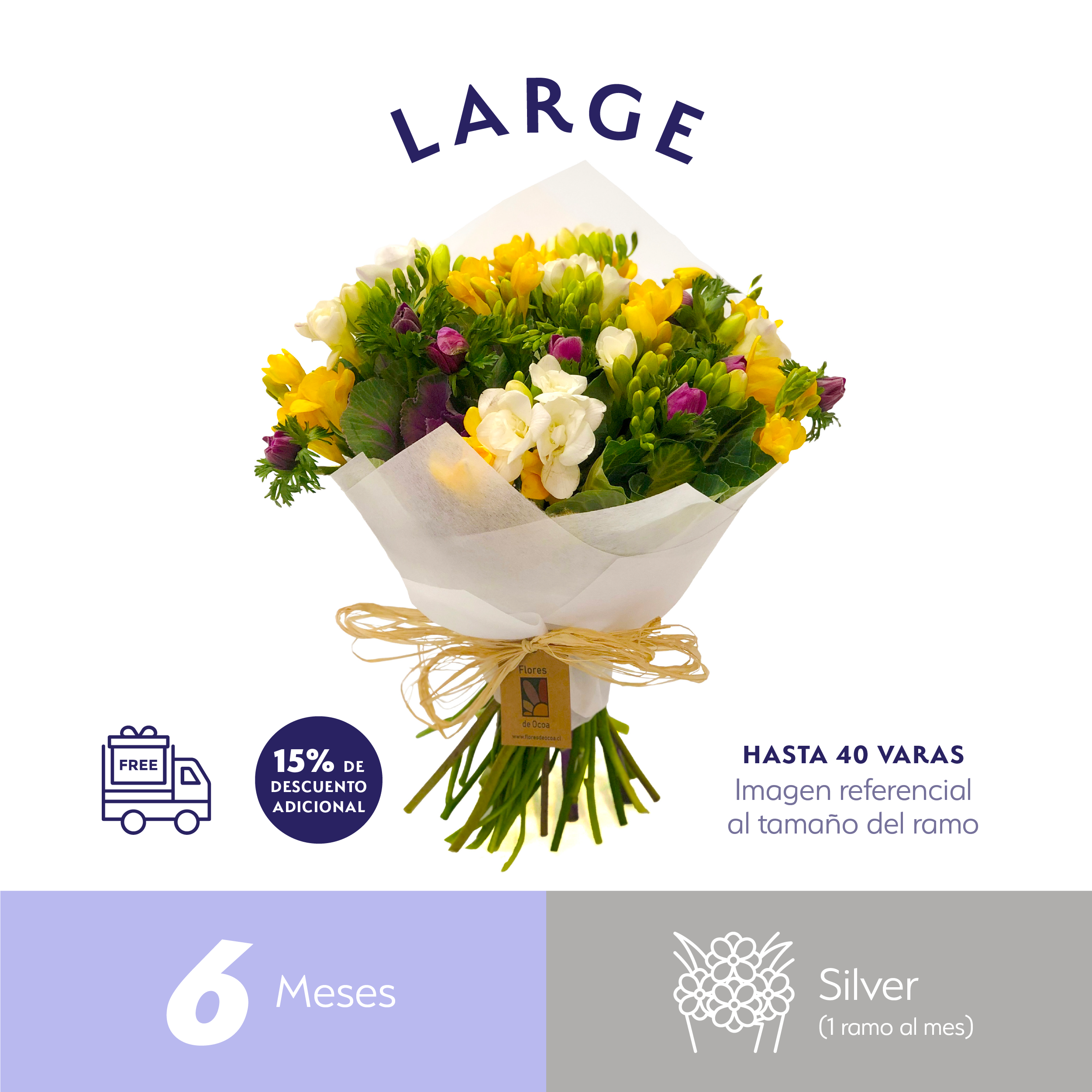 Plan Semestral Silver Large.