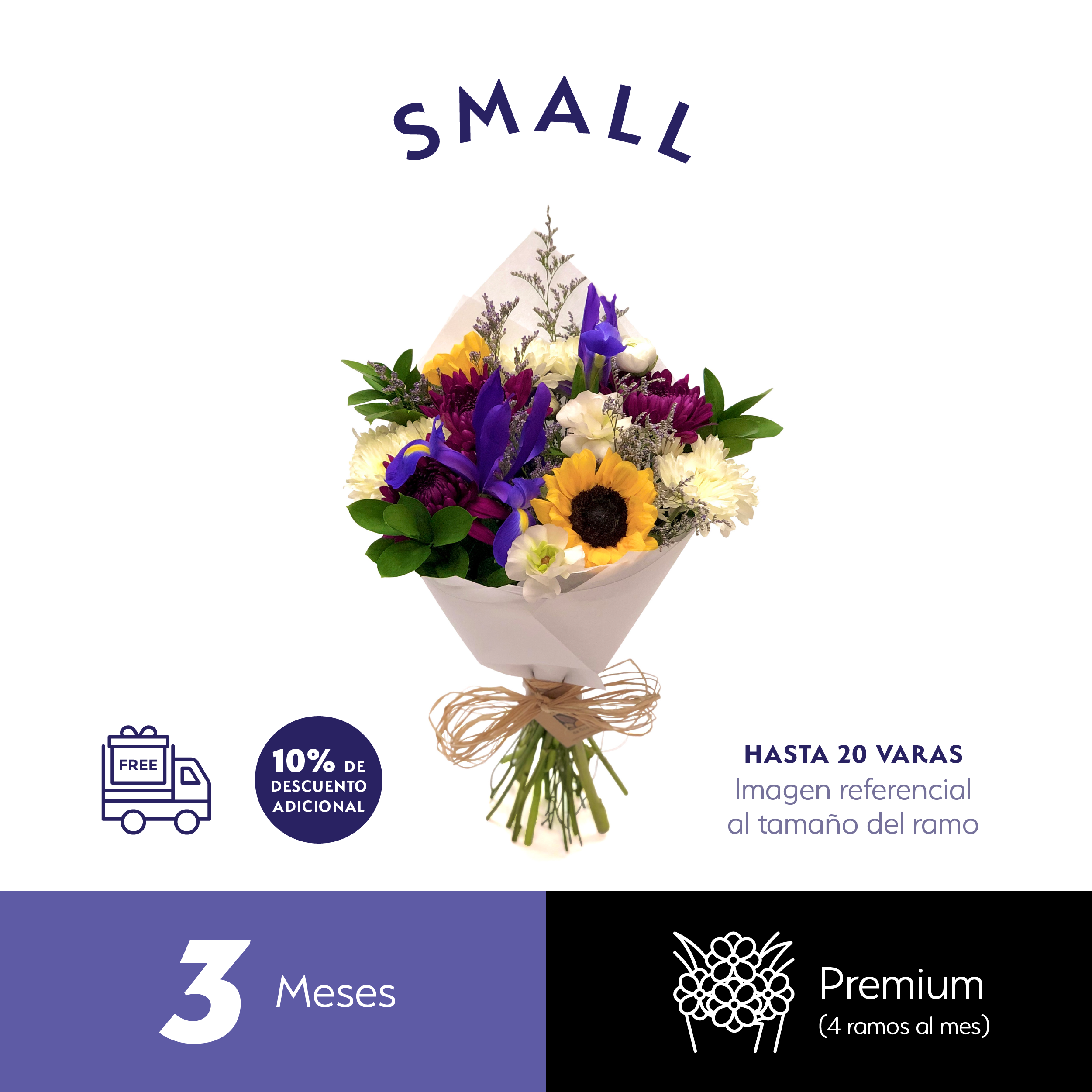 Plan Trimestral Premium Small.