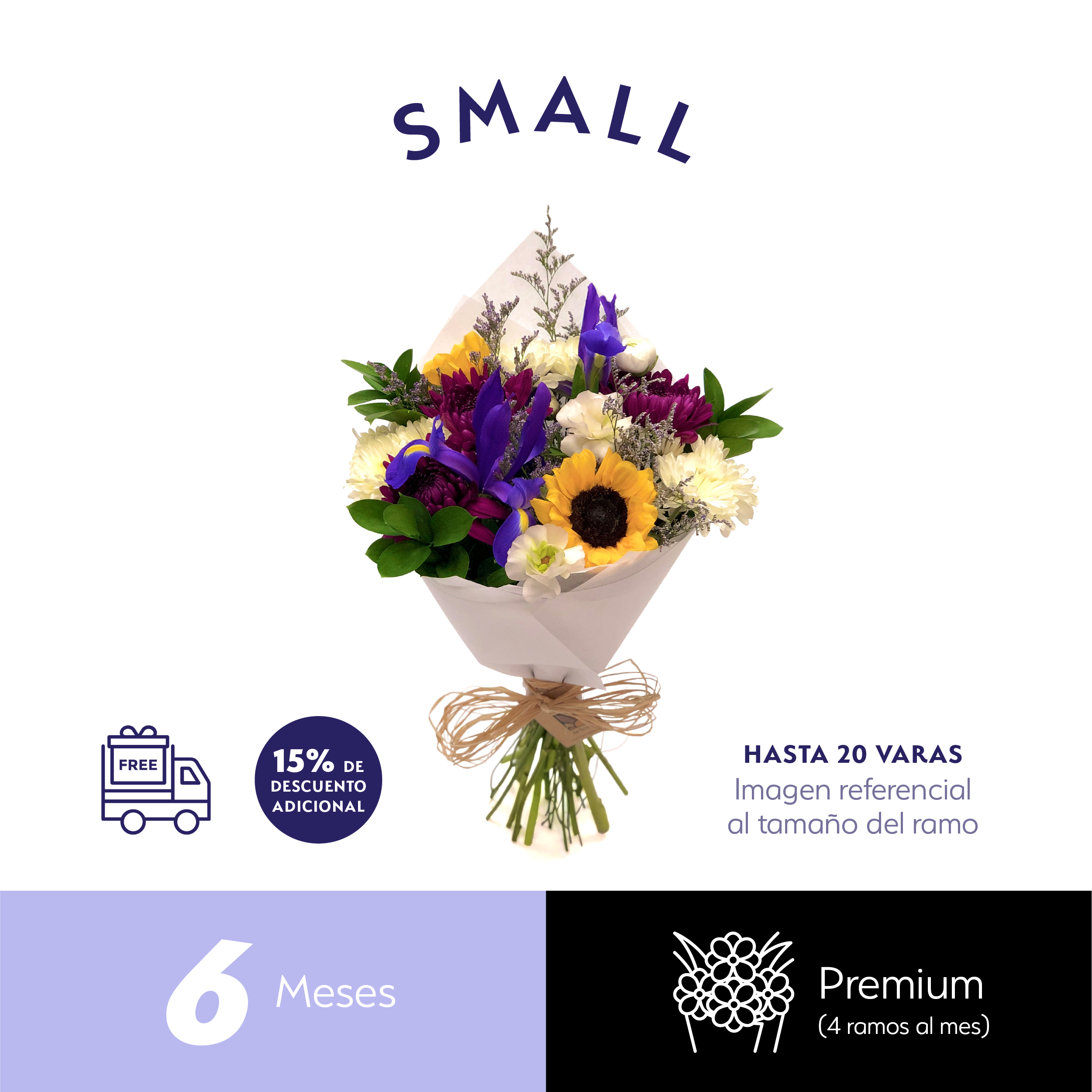 Plan Semestral Premium Small.