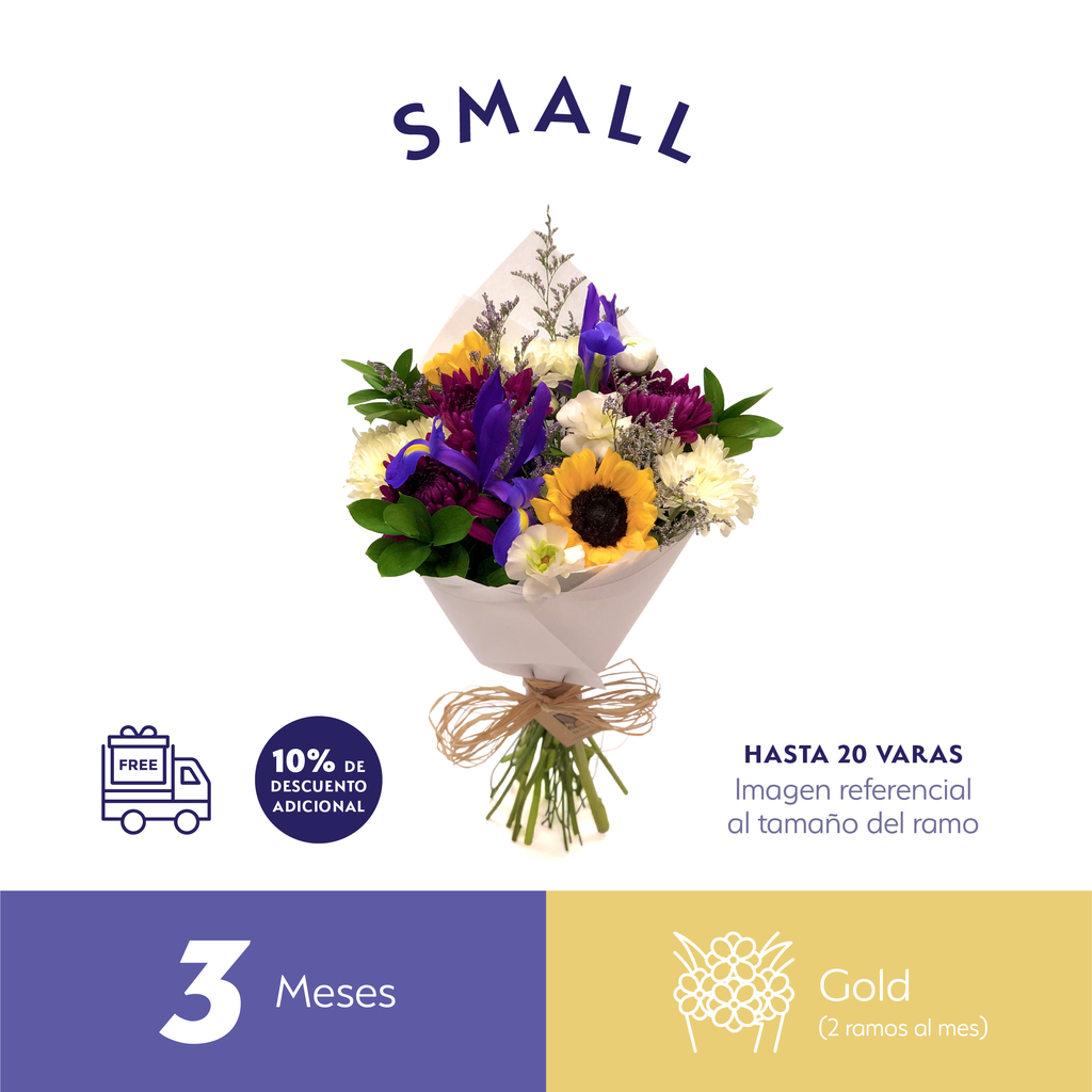 Plan Trimestral Gold Small.