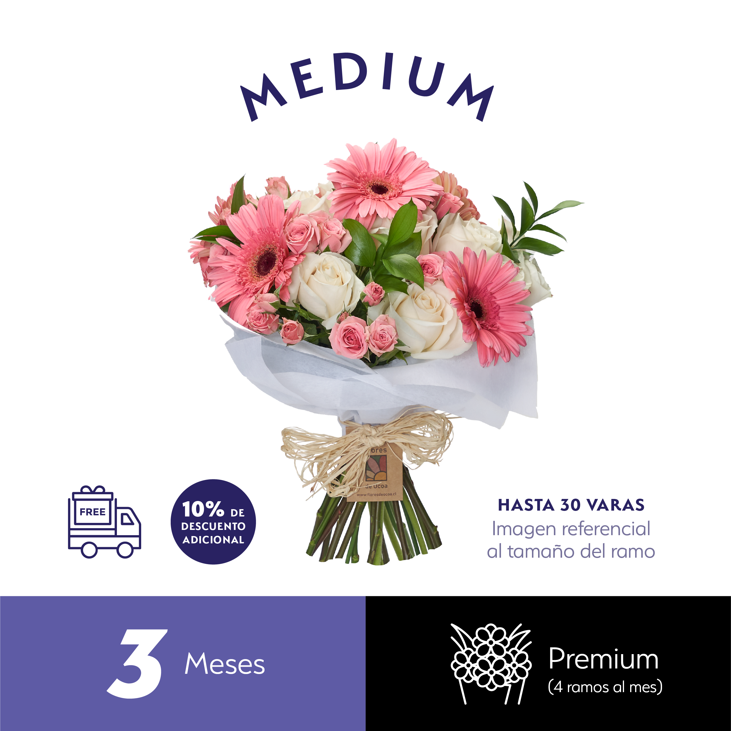 Plan Trimestral Premium Medium.