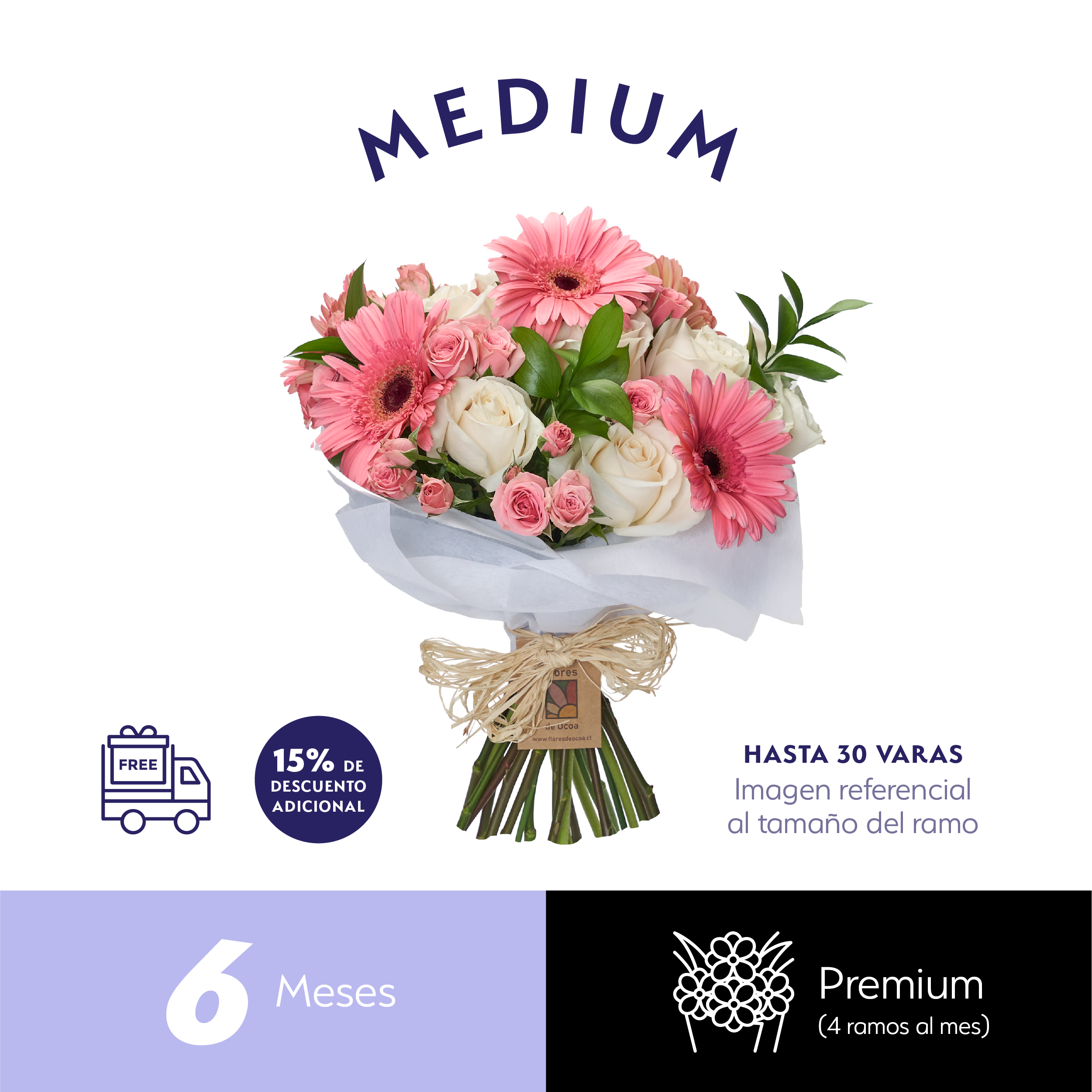 Plan Semestral Premium Medium.