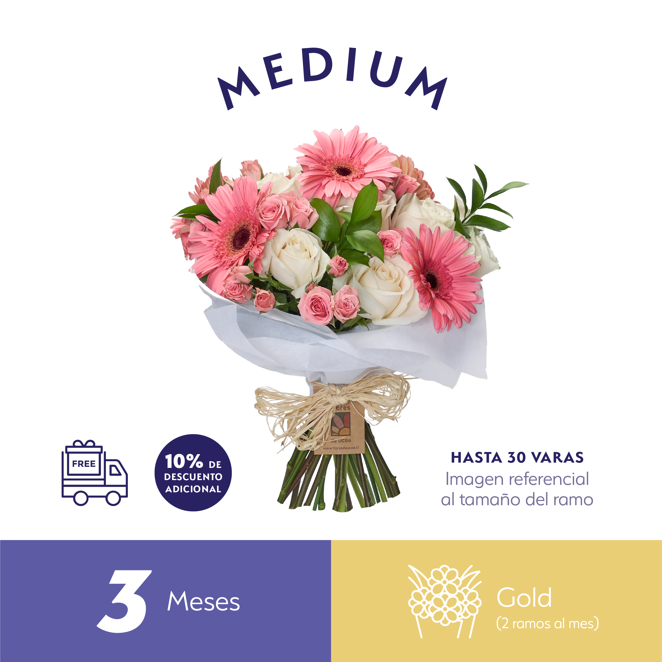 Plan Trimestral Gold Medium.