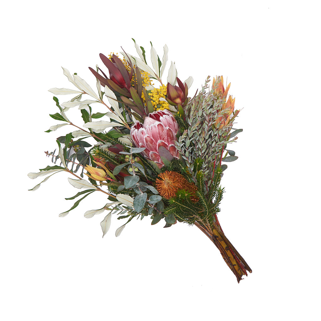 Protea & Mix Leucadendron