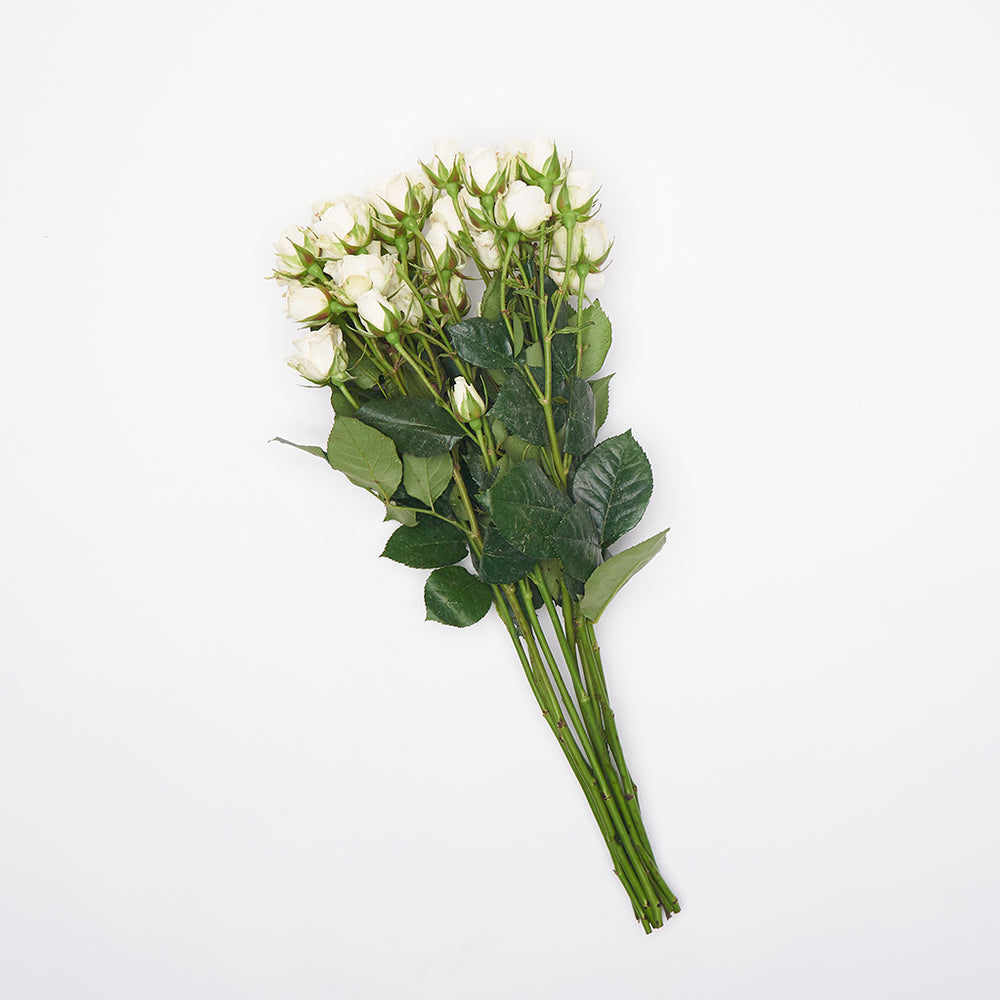 Flores Naturales | Despacho RM | Flores de ocoa