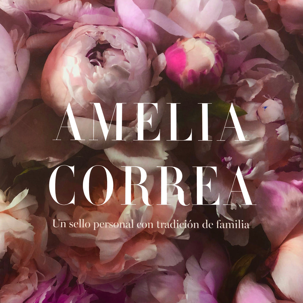 Libro Amelia Correa.
