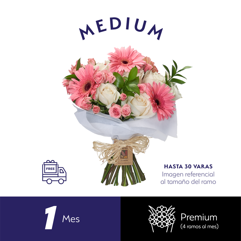 Plan Mensual Premium Medium.